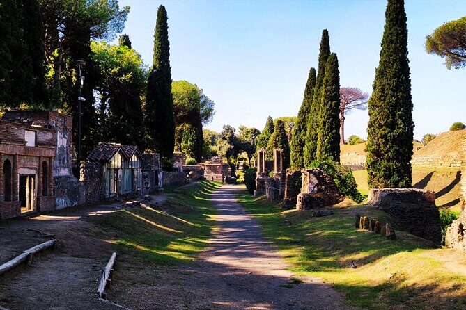 2 Hours Private Tour in Pompeii with Archaeologist - Meeting at Via Roma and what “private” means here