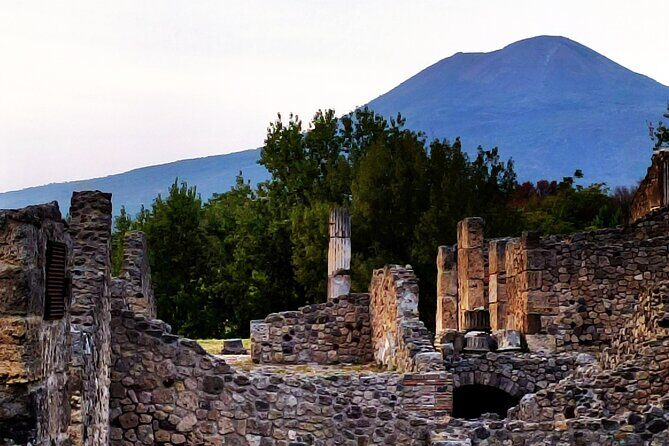 2 Hours Private Tour in Pompeii with Archaeologist - Palestra Grande and Anfiteatro Romano: reading public life in stone