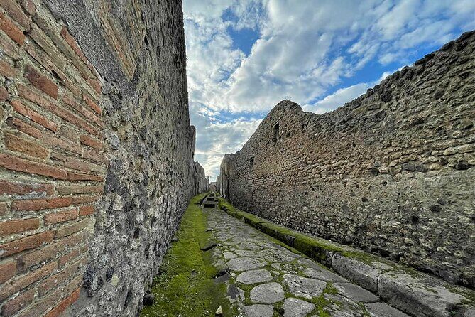 2 Hours Private Tour of Pompeii for Journey Through Time - Where the tour starts and how the timing works