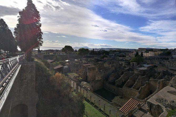 4/hours Half Day Trip Excursion to Herculaneum - Guide included - Comfort and communication: private transport from Naples, Sorrento, Amalfi, or Salerno
