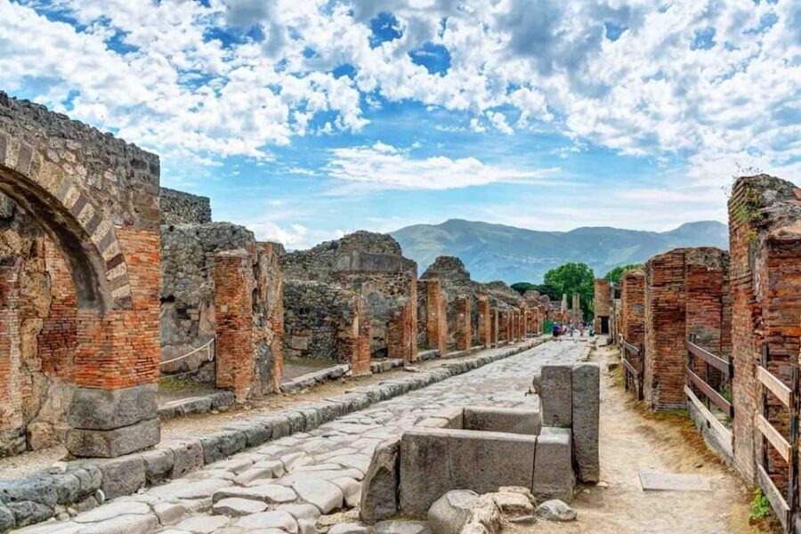 4H Pompeii Private Tour with Villa Dei Misteri included - Inside Pompeii: What Your Guide Covers in One Half Day