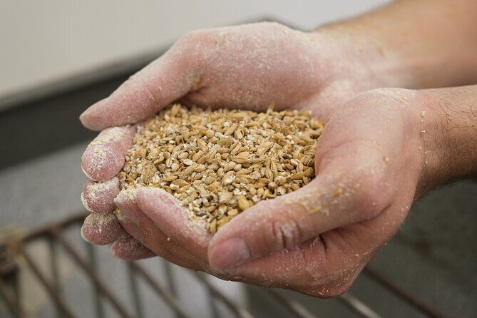 Agricultural Brewery Tour in the Roman Countryside - Barley and hops plantations: why the first hour matters