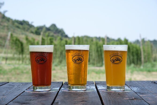 Agricultural Brewery Tour in the Roman Countryside - Price check: does $57.32 feel fair?