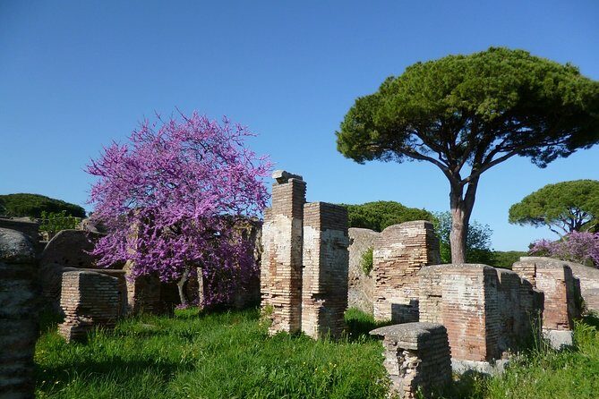 All-included Guided Tour of Ancient Ostia from Rome with Hotel Pickup & Drop Off - Price and value: what you’re actually paying for