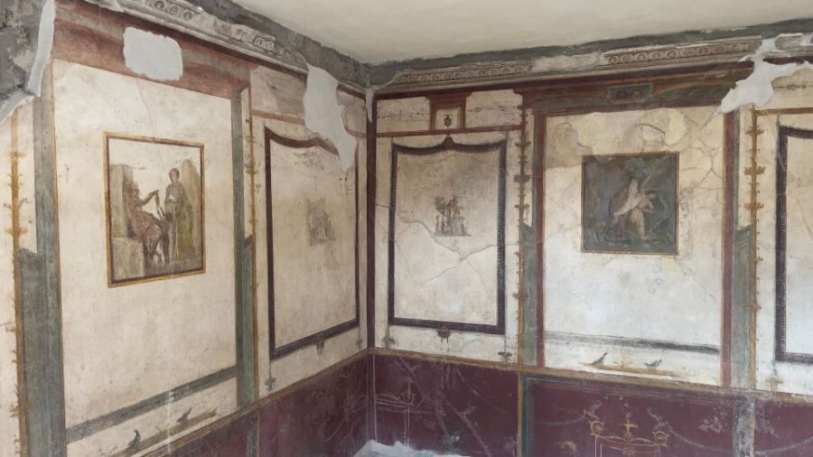 Amalfi Coast: Pompeii Ruins Guided Tour - Price and value for a short Amalfi-to-Pompeii day