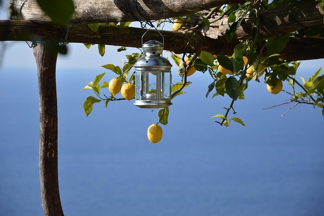 Amalfi Ravello Positano Tour - What You’re Really Buying: Stops Plus Logistics