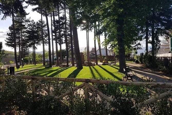 Amatrice and Rieti Day Tour from Rome - Entering Rieti on Its Own Terms: Cathedral, Crypt, Theatre, and Little Traditions