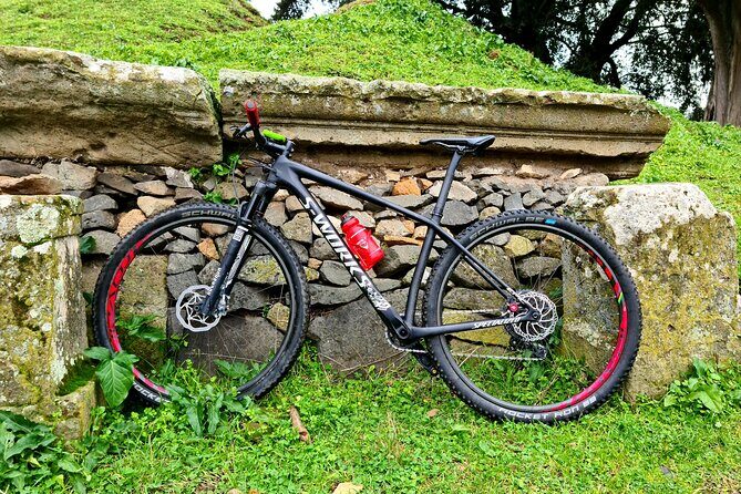 Ancient Appian Way and Roman Countryside E-Bike Tour - Parco degli Acquedotti: Aqueduct Views That Actually Feel Like Rome
