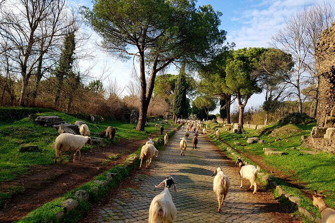 Ancient Appian Way and Roman Countryside E-Bike Tour - Price and Value: Is $90.22 a Good Deal?