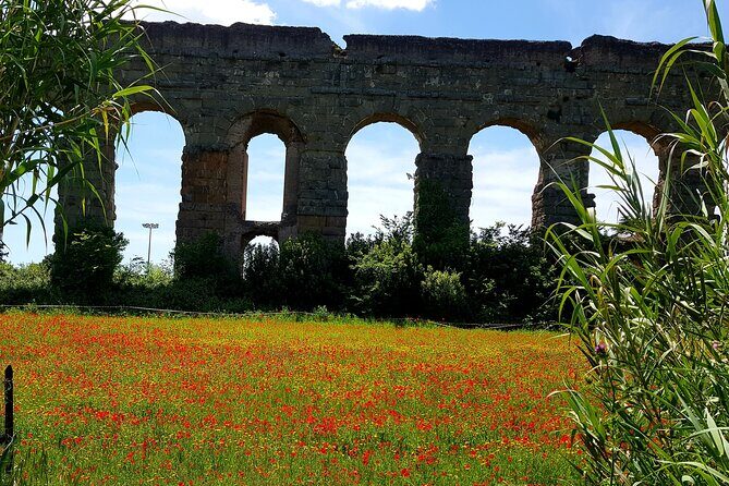 Ancient Appian Way and Roman Countryside E-Bike Tour - Catacombs of Saint Callixtus: Outside View, Quick Context, No Long Dig