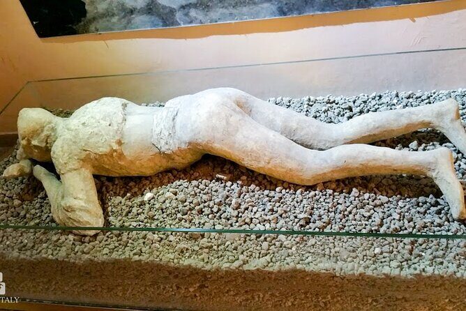 Ancient Pompeii Private Tour: Skip the Line & Kid-Friendly Option - Temple of Apollo and the Forum buildings: Greek-Italic mix, plus civic scale