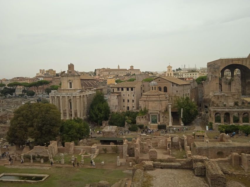 Ancient Rome and Domus Tiberiana Exclusive Guided Tour - Palatine Hill: starting where Rome’s story begins