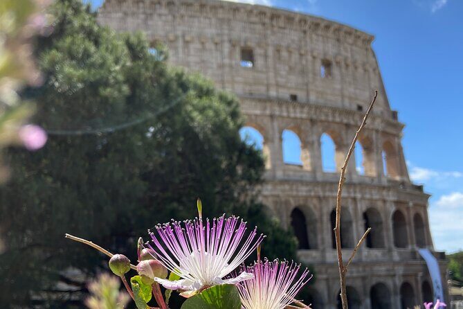 Ancient Rome: Colosseum + Digital Booklet and Audioguide - Stop 2: Roman Forum—Temple of Saturn, the Curia, and the politics vibe