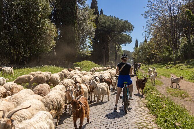 Appian Way Aqueducts Extended E-Bike & Food Adventure -45kms - Stop 2: Tombe della Via Latina for tombs most people skip