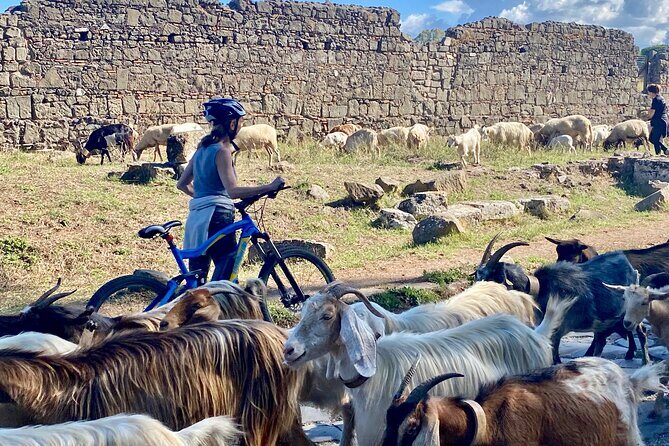 Appian Way & Aqueducts small group e-bike tour(catacombs & food) - Catacombs of San Callisto: Underground Christian History