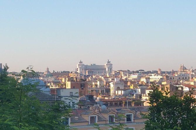Arrival in Rome: Airport Transfer & Exclusive City Introduction - Trevi Fountain: famous, quick, and worth aiming for