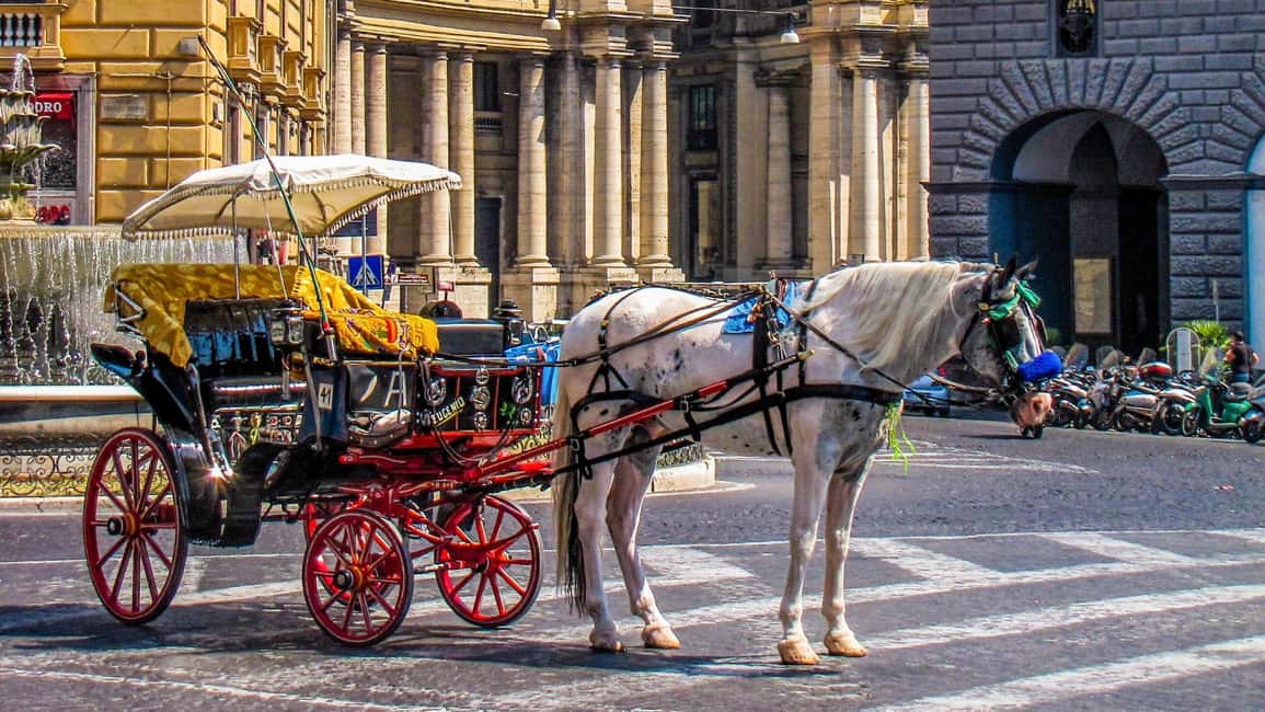Best of Naples: Private Walking Tour with a Local - Customization: tailoring the walk to your pace and priorities