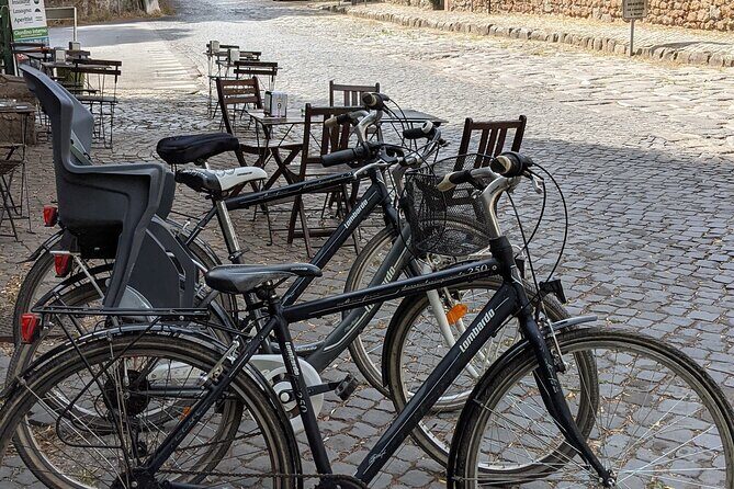 Bike Rental inside Appian Way Regional Park - Riding the Appian Way: cobbles, dirt paths, and aqueduct-area goals