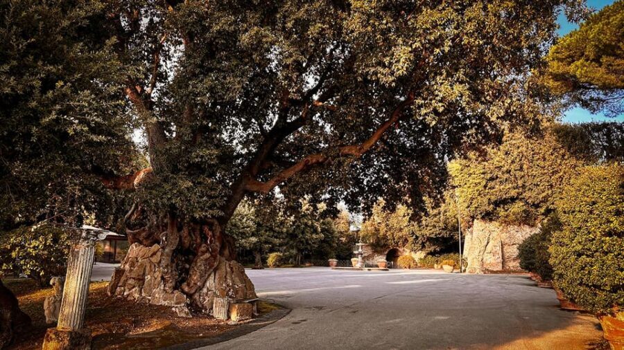 Borgo Laudato Si' - Gardens of Villa Barberini - Key points to know before you go