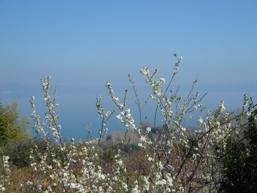 Bracciano: Odescalchi-Orsini ancient Castle Tour with Lunch - Price and value: is $249.23 per person fair for what you get?