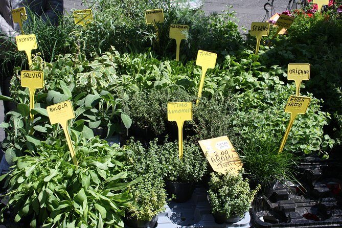 Campo dei Fiori Market and Trevi Fountain District Food & Wine Tour in Rome - Who Should Book This Rome Food and Wine Tour (And Who Should Skip It)
