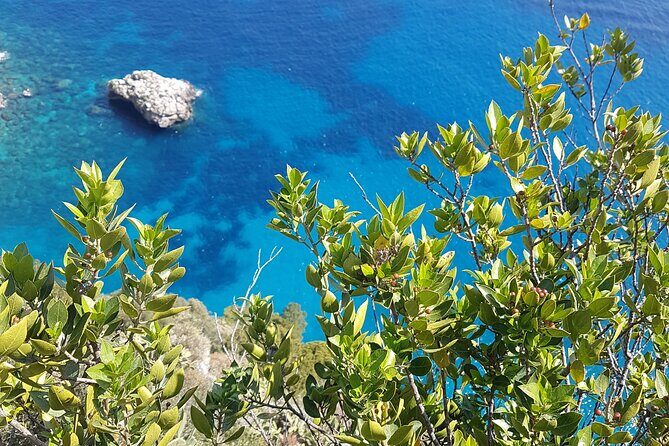 Capri Private Full Day Tour from Rome with Monte Solaro. - Capri island time: free-entry wandering with a classic starting point
