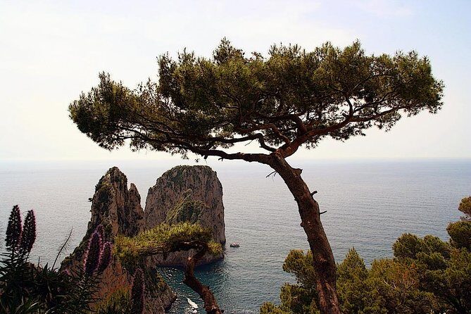Capri Private Full Day Tour from Rome with Monte Solaro. - Rome to Capri, handled: private car to Naples plus hydrofoil