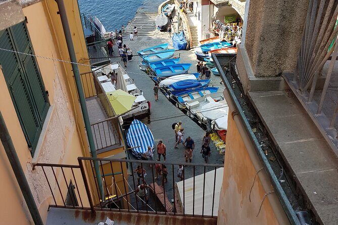 Cinque Terre Private Day Tour from Rome - Stop 4: Manarola’s historic borgo, harbor terraces, and vineyard tones