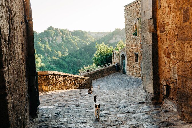 Civita di Bagnoregio and Orvieto - Private Day trip from Rome - A Private Day Trip That Puts Orvieto on Top