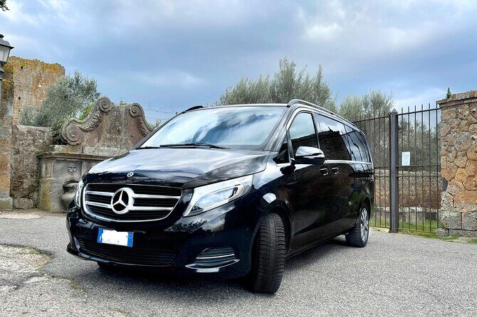 Civitavecchia Cruise Ship Port to Rome Hotel Private Transfer - Getting to Your Meeting Point: How the Driver Finds You