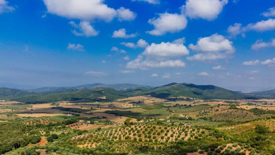 Civitavecchia: Tuscany Full-Day Guided Trip w/Wine Tasting - Key highlights at a glance