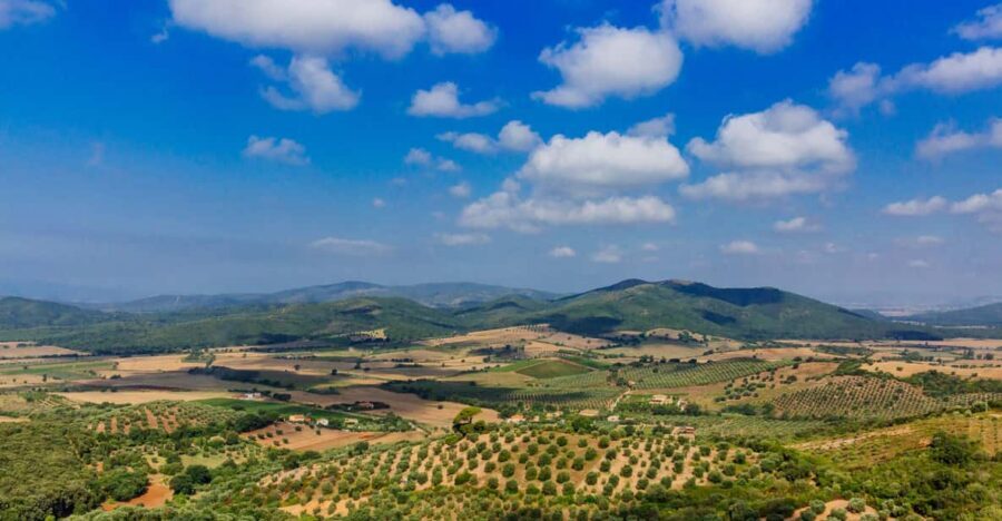 Civitavecchia: Tuscany Full-Day Guided Trip w/Wine Tasting - Maremma: why this region feels different from classic Tuscany