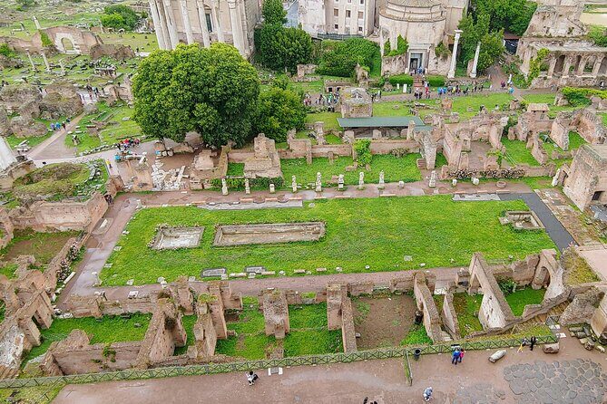 Colosseum & Ancient Rome Guided Walking Tour - Price and logistics: where the $65.33 really goes