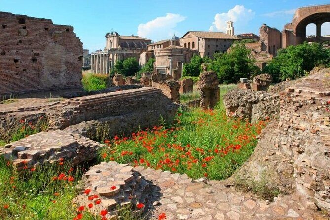 Colosseum & Ancient Rome Private: Women History Guided Tour - Timing, Meeting Point, and Tickets: Don’t Trip on the Details