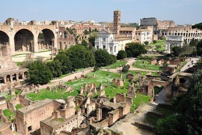 Colosseum and Ancient Rome Private Guided Tour - Palatine Hill above the Forum: Romulus, Rome’s founding, and palace ruins