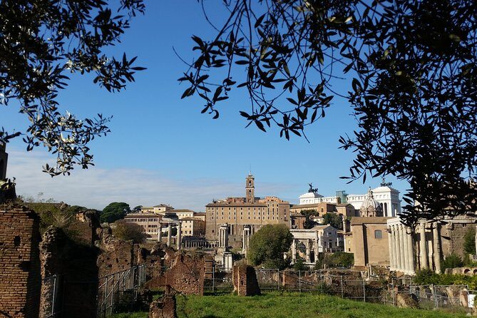 Colosseum and Roman Forum Private Tour led by an archaeologist - Price and who this private tour fits best