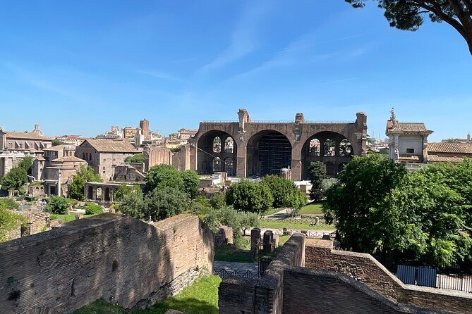 Colosseum Arena and Ancient Rome Private Tour - Palatine Hill’s origins and imperial ruins in 45 minutes