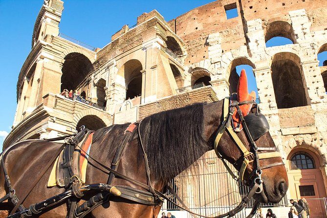 Colosseum Arena floor & Ancient Rome Tour for kids and Families - Gladiator stories that fit children’s questions