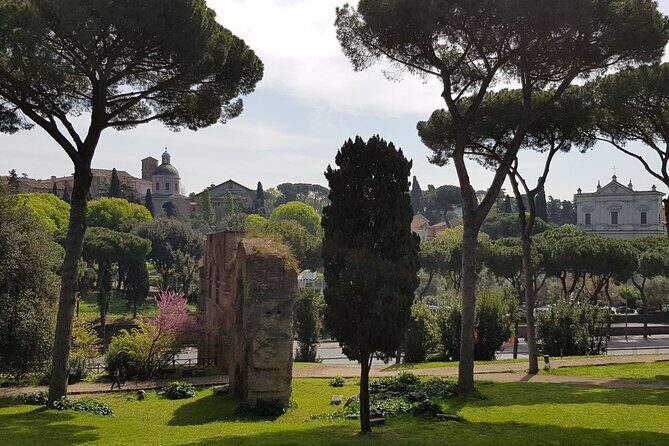 Colosseum Arena Floor and Ancient Rome Semi Private Guided Tour - Practical Tips So Your Tour Day Goes Smooth