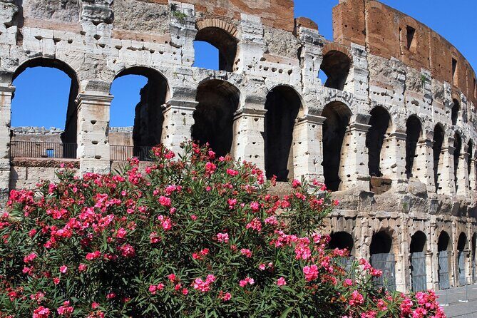Colosseum Express Tour - Key points to know before you go