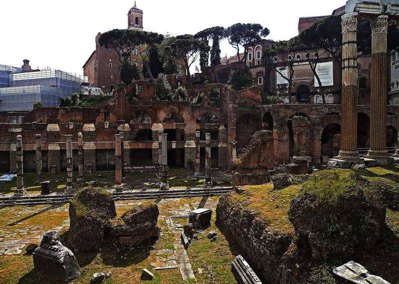 Colosseum, Forum & Palatine Hill Guided Walking tour - Timing, heat, rain, and how to pack for this walk