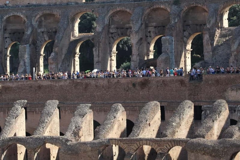 Colosseum, Forum & Palatine Hill Guided Walking tour - What $72.49 buys you (and what it doesn’t)