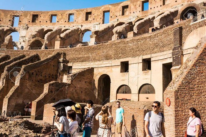 Colosseum guided tour with arena option - Key Highlights You’ll Care About