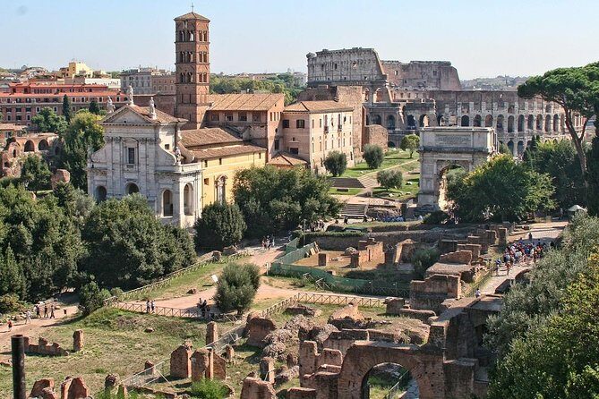 Colosseum, Palatine Hill, and Roman Forum Private Tour - Price and Value: What $411.52 Really Includes