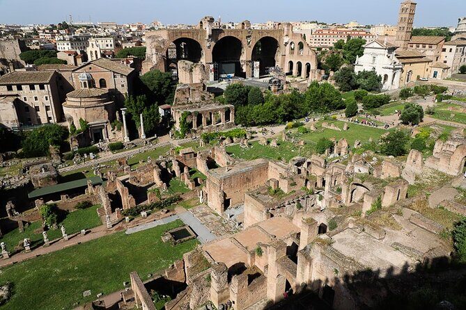 Colosseum & Roman Forum Guided Tour - What the guide helps you see inside the Colosseum