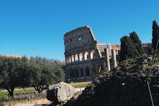 Colosseum, Roman Forum, Palatine Hill Experience - Palatine Hill Views and Imperial Neighborhood Energy