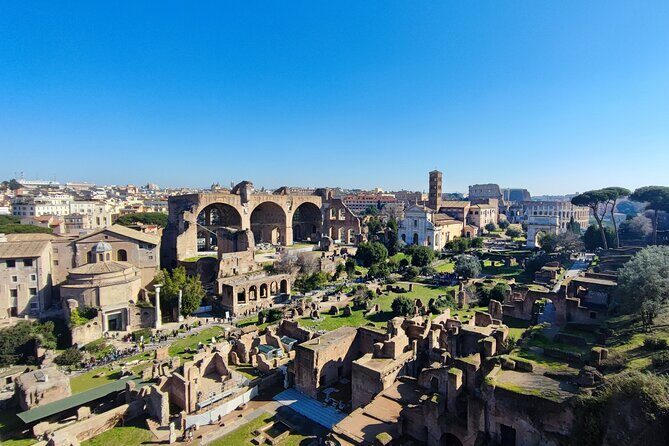 Colosseum, Roman Forum & Palatine Hill - Group Tour - Roman Forum: temples, politics, and the places behind the names