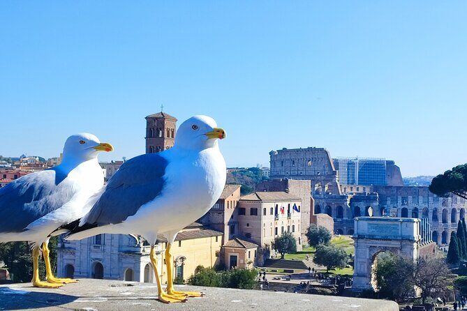 Colosseum, Roman Forum & Palatine Hill - Group Tour - Meeting point and timing: arrive early or you’ll miss the start