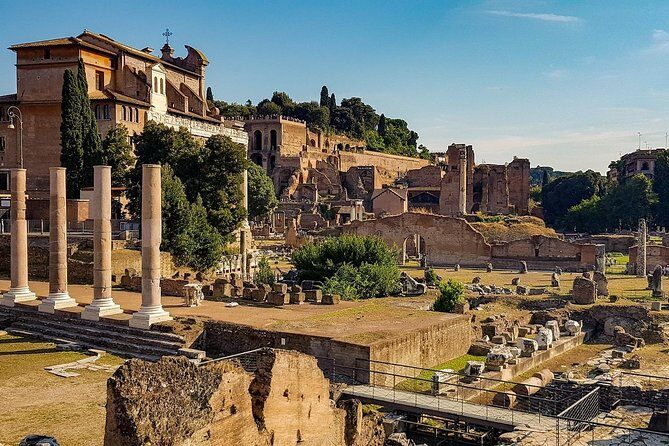 Colosseum, Roman Forum,& Palatine Hill private tour - Private Tour Format: What You Gain (and What You Don’t)