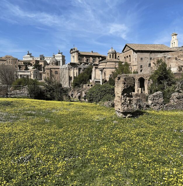 Colosseum, Roman Forum, Palatine Hill - the PRIVATE TOUR - Why This Private Colosseum–Forum–Palatine Route Works